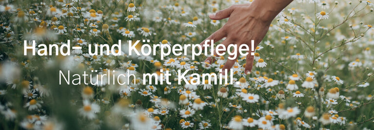 1139661194
kunde-kamill-t3